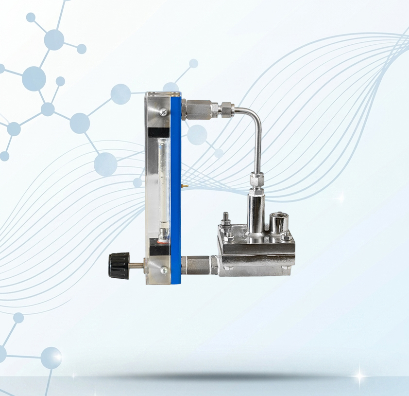 Low-Flow-Rotameter-with-DP-Regulator-Photoroom